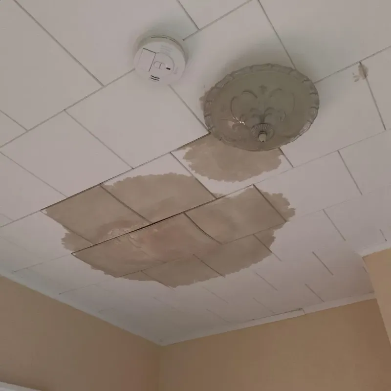 Ceiling Water Damage Repair in Etowah, NC