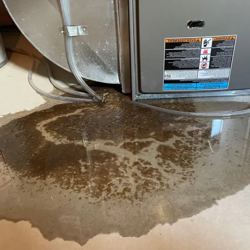 Pipe Burst and Leak Restoration in Etowah, NC