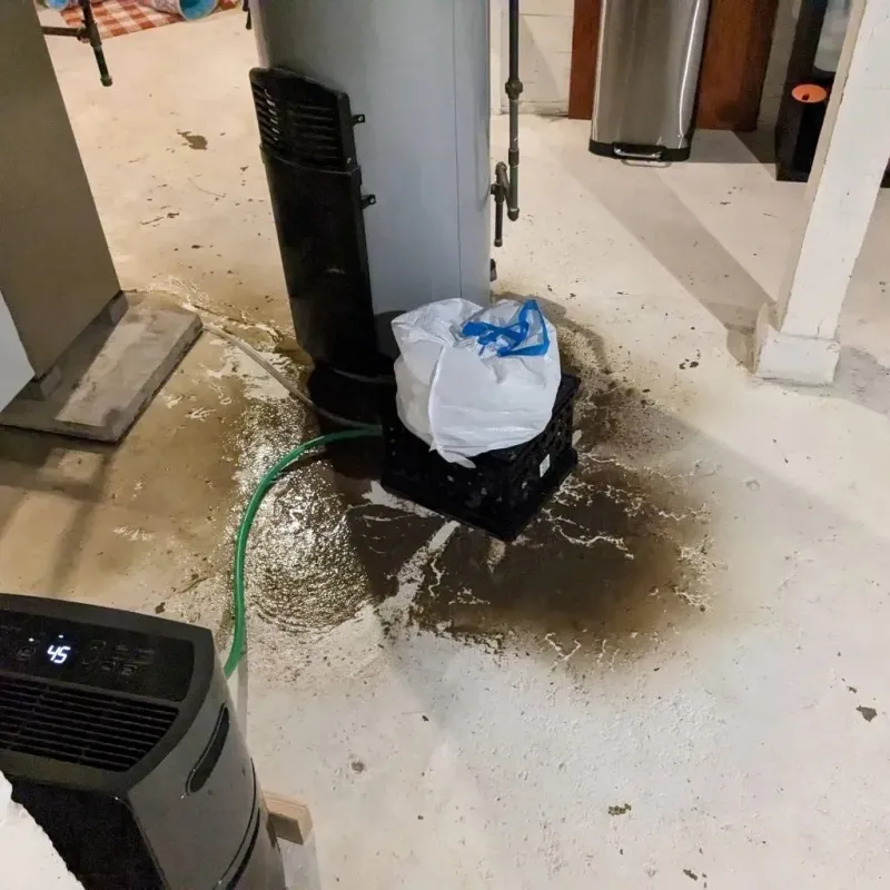 Sewage Backup Cleanup Service in Etowah, NC